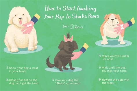 How to Teach Your Dog to Shake