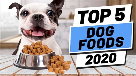 Top 5 Dog Foods for Optimal Health