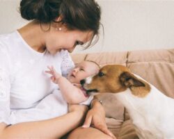 How to Introduce Your Dog to a New Baby