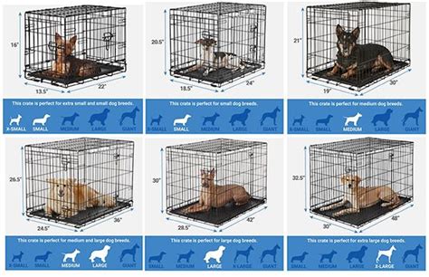 How to Choose the Right Dog Crate for Your Pup’s Size and Needs