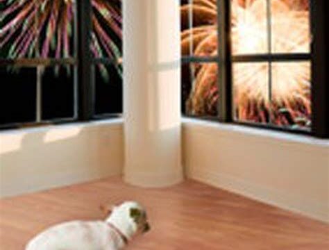 How to Help Your Dog Cope with Fireworks and Thunderstorms