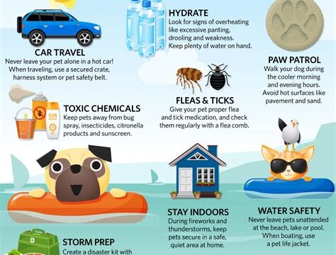 How to Keep Your Dog Safe and Healthy During Summer