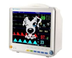 Pet Healthcare Accessories: Products to Monitor and Improve Pet Health