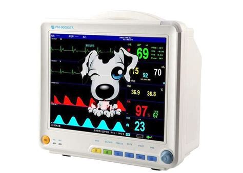 Pet Healthcare Accessories: Products to Monitor and Improve Pet Health