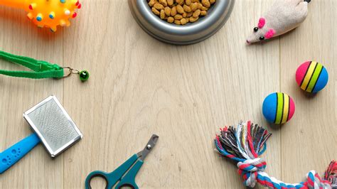 Top 10 Must-Have Pet Accessories for Every Pet Lover