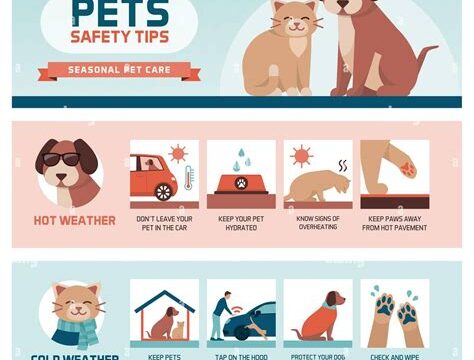 Pet Safety Accessories: Protecting Your Pet at Home and on the Go