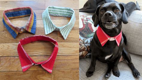 DIY Pet Accessories: Creative and Budget-friendly Ideas for Pet Lovers
