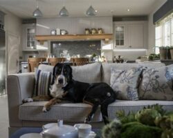 Pet-Friendly Home Design: Accessories to Create a Pet-Friendly Living Space