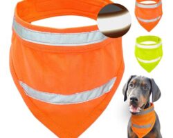 Reflective Accessories for Pets: Enhancing Visibility and Safety