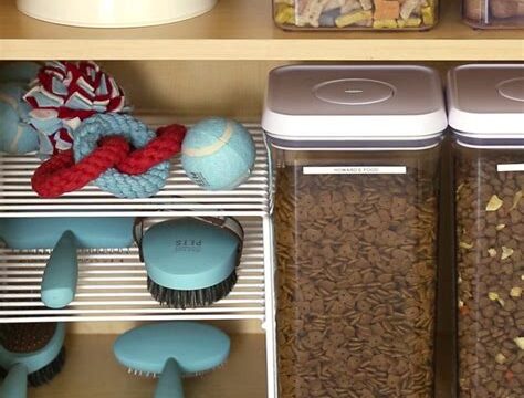 Organization and Storage Solutions for Your Pet’s Accessories