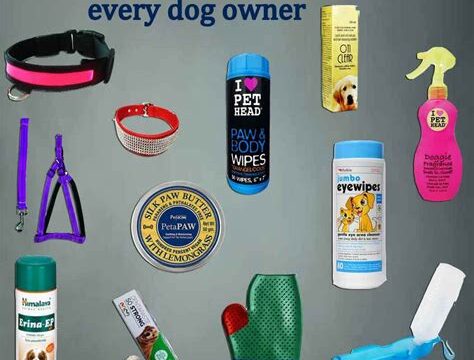 Essential Pet Accessories Every Pet Owner Should Have