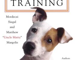 The Ultimate Guide to Pet Training