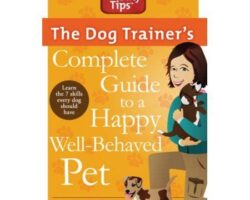 Teaching Obedience: Creating Well-Behaved Pets