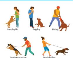 10 Common Dog Behavioral Issues and How to Resolve Them