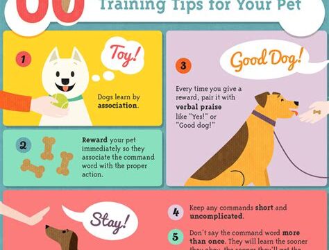 The Science of Dog Training: Positive Reinforcement Techniques