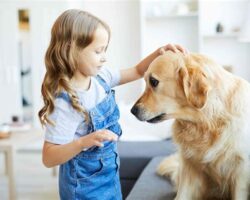 Dogs and Children: Teaching Kids to Interact Safely with Pets