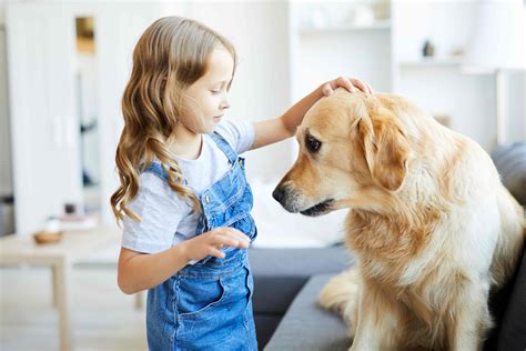 Dogs and Children: Teaching Kids to Interact Safely with Pets