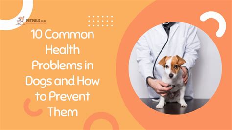 Common Health Issues in Different Dog Breeds and How to Prevent Them