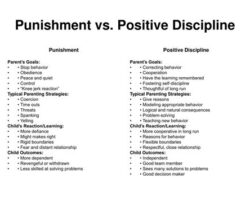 The Truth About Different Training Methods: Positive vs. Punishment