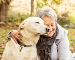 Senior Dogs Need Love, Too: Caring for Aging Canine Companions