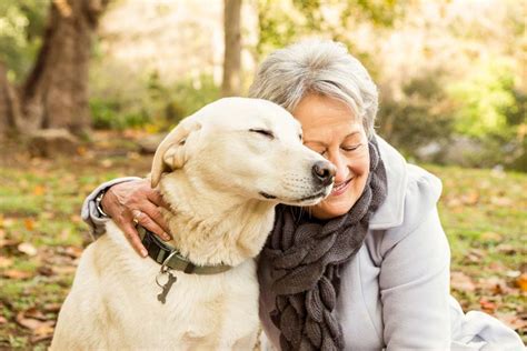 Senior Dogs Need Love, Too: Caring for Aging Canine Companions
