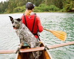 Dog-Friendly Travel Destinations: Exploring the World with Your Pooch