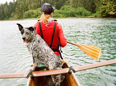 Dog-Friendly Travel Destinations: Exploring the World with Your Pooch