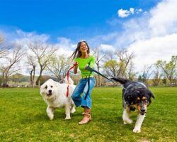 10 Fun Ways to Exercise Your Dog and Keep Them Healthy