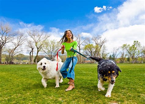 10 Fun Ways to Exercise Your Dog and Keep Them Healthy