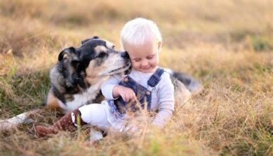 5 Best Family Dogs That are Great with Kids