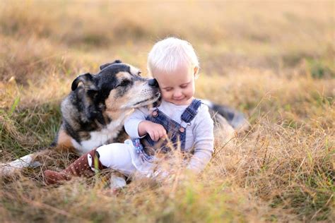 5 Best Family Dogs That are Great with Kids