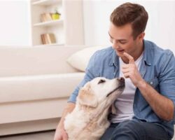 5 Essential Dog Care Tips Every Owner Should Know