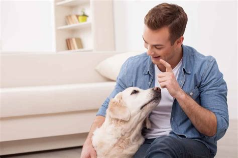 5 Essential Dog Care Tips Every Owner Should Know