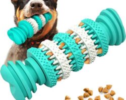 8 Indestructible Dog Toys for Aggressive Chewers: Durable and Safe Options
