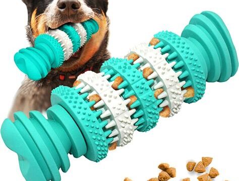 8 Indestructible Dog Toys for Aggressive Chewers: Durable and Safe Options