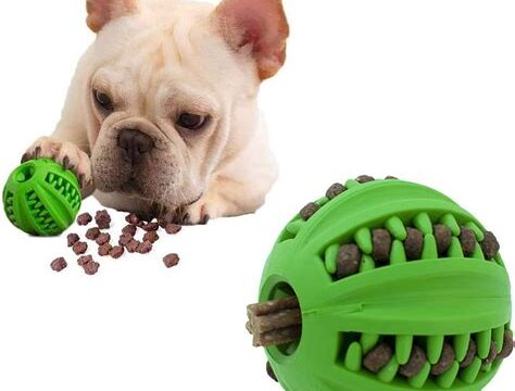 8 Interactive Dog Toys for Mental Stimulation and Entertainment