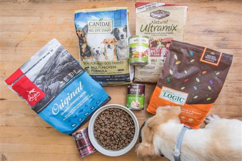 A Comprehensive Guide to Choosing the Best Dog Food for Your Pet