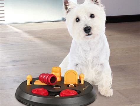 Beat Boredom: 5 Engaging Dog Toys to Keep Your Pup Entertained