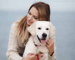 Best Companion Dog Breeds for Loving Families