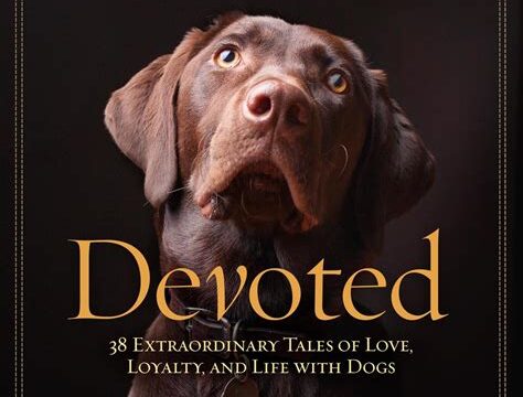 Best Dogs for Loyalty and Devotion