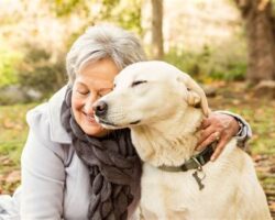 Best Dogs for Seniors: Companion Pets for Older Adults