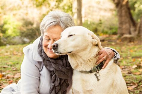 Best Dogs for Seniors: Companion Pets for Older Adults