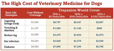 Calculating the True Costs of Dog Care to Budget Wisely