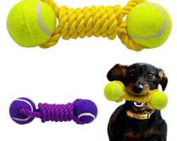 Fetch, Retrieve, Repeat: Dog Toys for Retrieving Fun