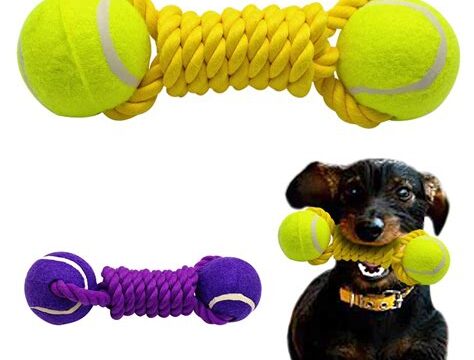 Fetch, Retrieve, Repeat: Dog Toys for Retrieving Fun