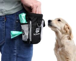 Keeping Treats Handy: The Importance of a Dog Training Treat Bag