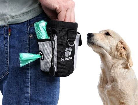 Keeping Treats Handy: The Importance of a Dog Training Treat Bag