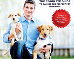 Must-Read Dog Training Books for Pet Owners