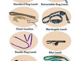 Selecting the Right Dog Training Leash for Your Pet