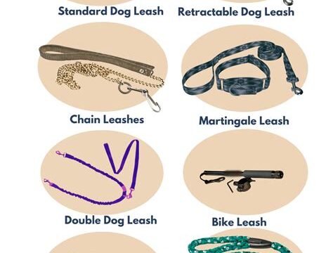 Selecting the Right Dog Training Leash for Your Pet